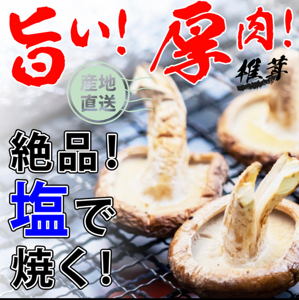 訳あり　頑張って成長したが形が悪い徳島県産肉厚歯応えの良い椎茸さん1キロ送料込み 2枚目の画像