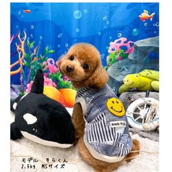 Creema春の福袋2024⭐︎Baby&Kids★Dogペアトレーナー 7枚目の画像