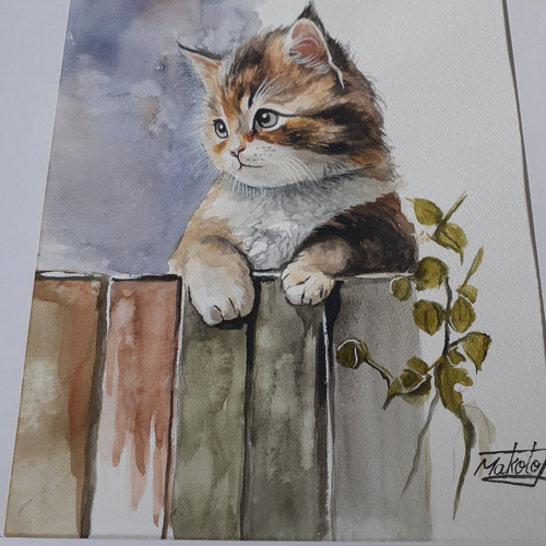 水彩画 可愛い子猫 絵画 makochin 通販 16407778｜Creema(クリーマ)