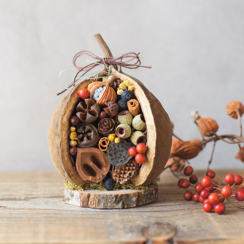 秋を楽しむ 木の実たっぷりブッダナッツ / 秋冬新作2023 新色新柄2023  