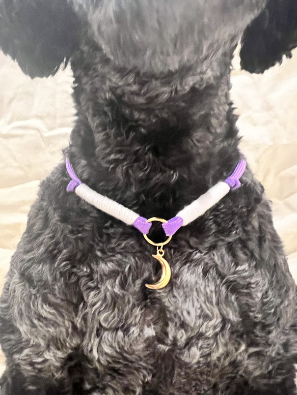わんちゃん首輪 犬用アクセサリー 調節可能 パラコード使用