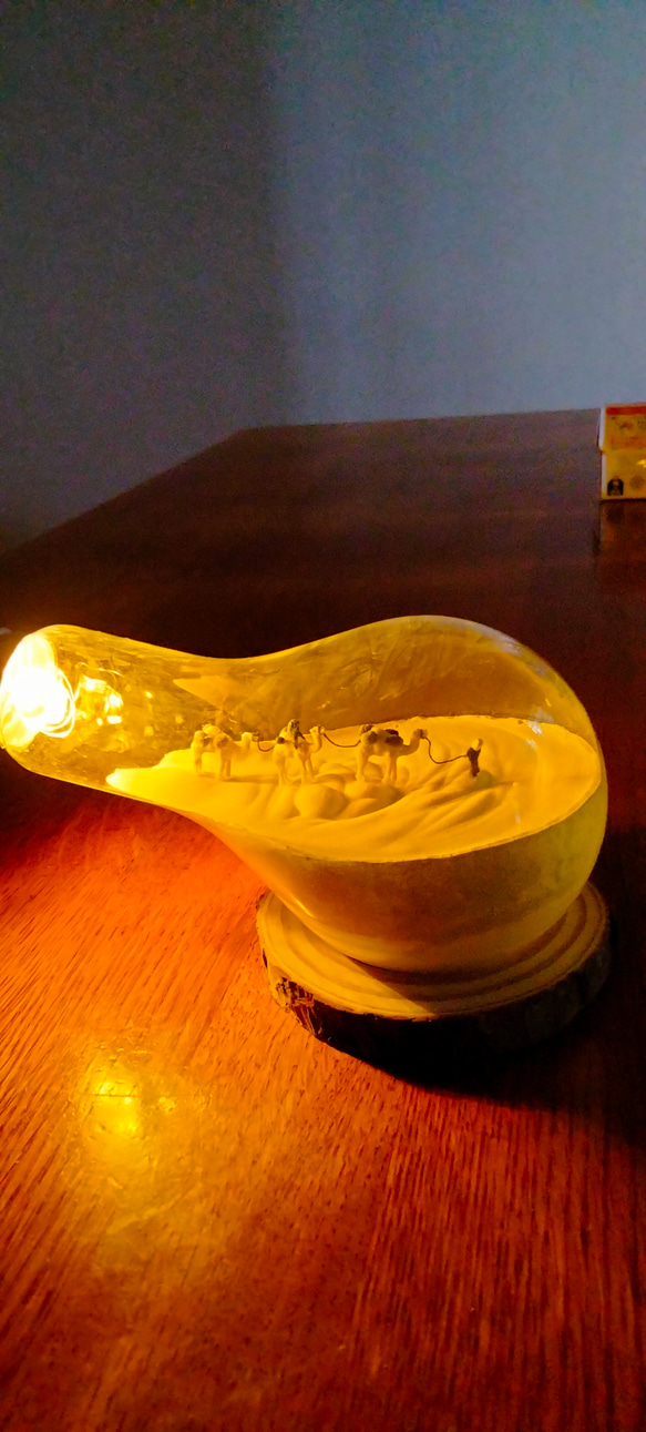 ラクダさんの電球テラリウム 1枚目の画像