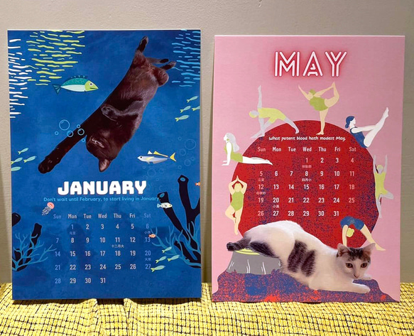 2024年 猫卓上カレンダー | チャリティー寄付 チャリティー卓上カレンダー | 白黒猫カレンダー | 絶妙な限定ニャーイラス 3枚目の画像