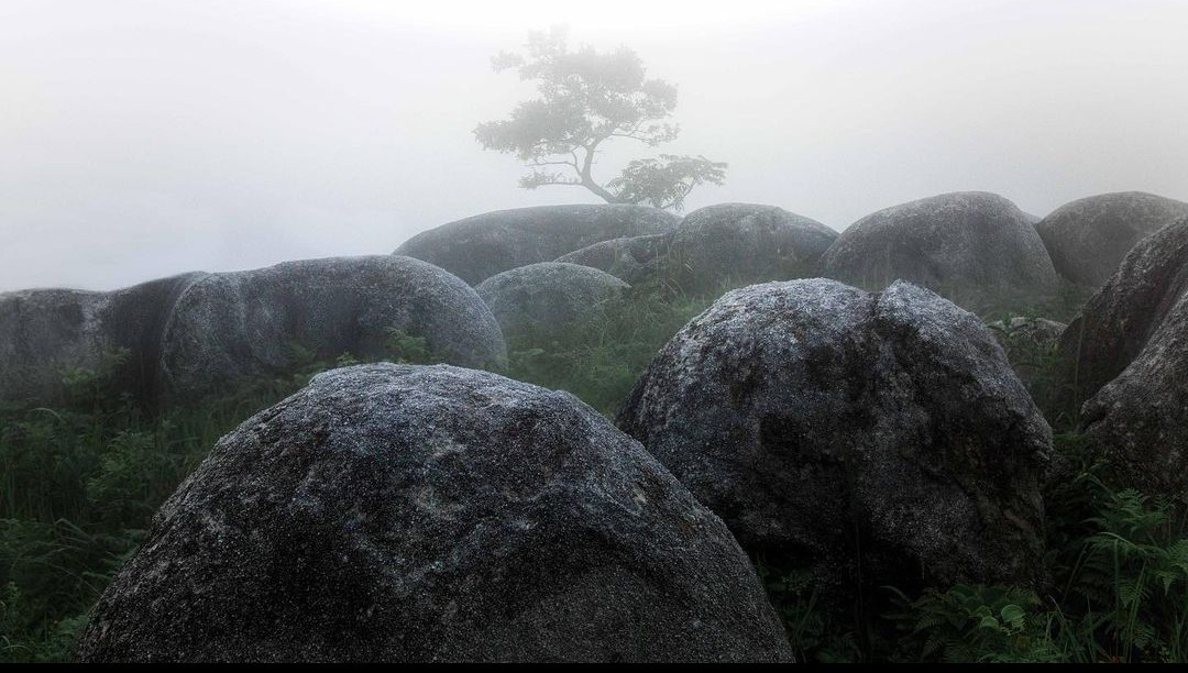 フォトパネル③■平尾台■A2サイズ■フレーム付 フォトパネル⑥□平尾台□A2サイズ□フレーム付 写真