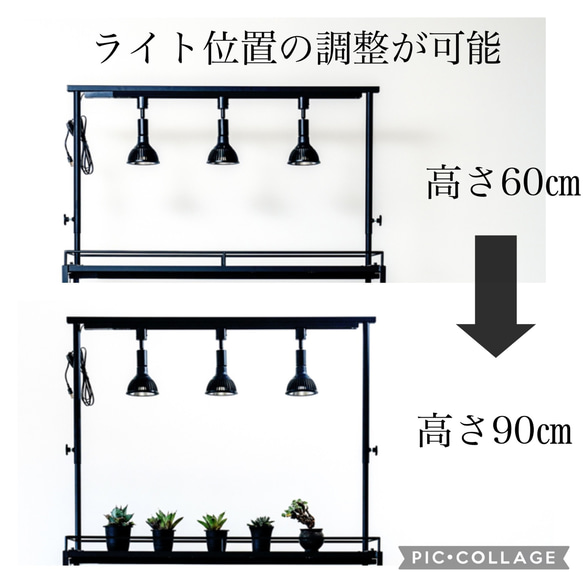 育成ライトが取り付け出来る植物棚　植物ラック　ボタニカルシェルフ　アガベ　塊根　ライトレール 4枚目の画像