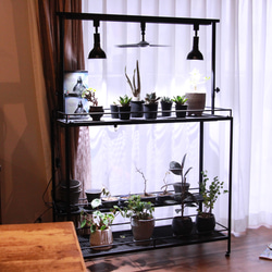 育成ライトが取り付け出来る植物棚　植物ラック　ボタニカルシェルフ　アガベ　塊根　ライトレール 10枚目の画像