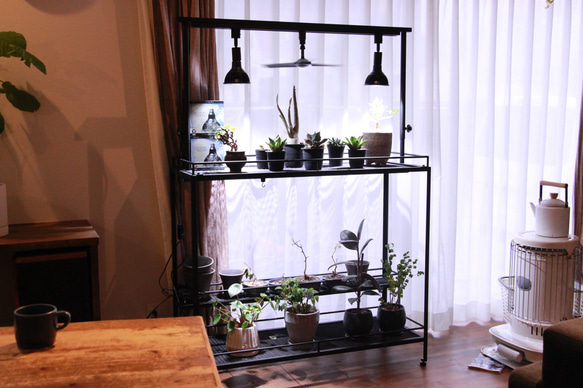 育成ライトが取り付け出来る植物棚　植物ラック　ボタニカルシェルフ　アガベ　塊根　ライトレール iron これにより Lim