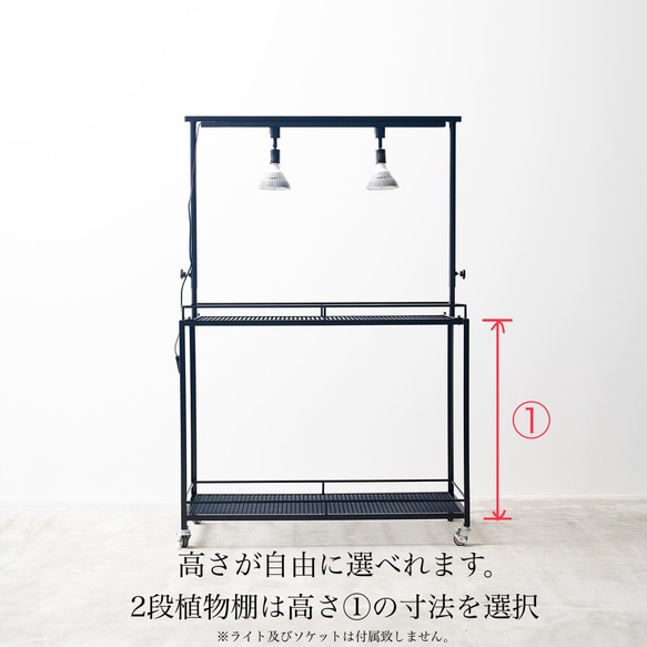 育成ライトが取り付け出来る植物棚　植物ラック　ボタニカルシェルフ　アガベ　塊根　ライトレール iron これにより Lim