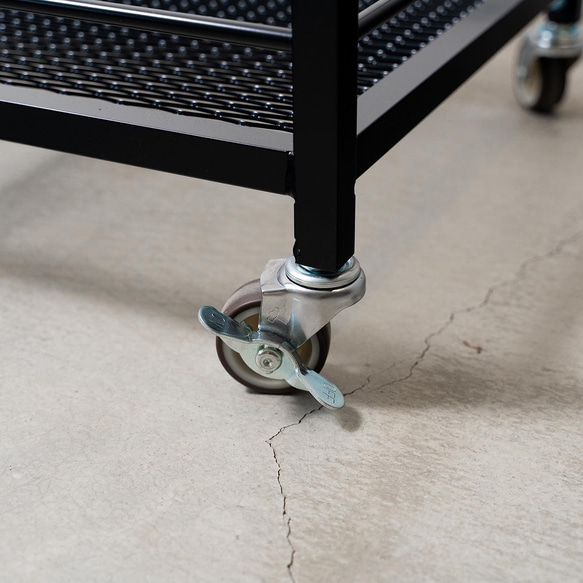 育成ライトが取り付け出来る植物棚　植物ラック　ボタニカルシェルフ　アガベ　塊根　ライトレール iron これにより Lim