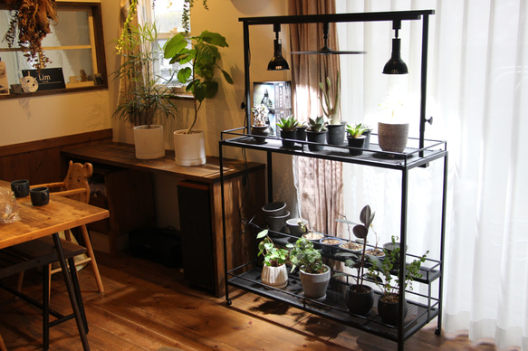 育成ライトが取り付け出来る植物棚　植物ラック　ボタニカルシェルフ　アガベ　塊根　ライトレール iron これにより Lim