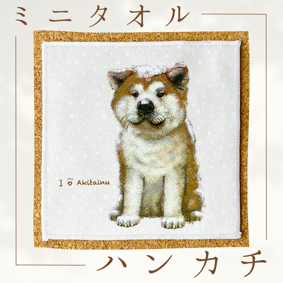 [秋田犬] 手帕毛巾可以包覆非常適合當禮物♪ 第1張的照片