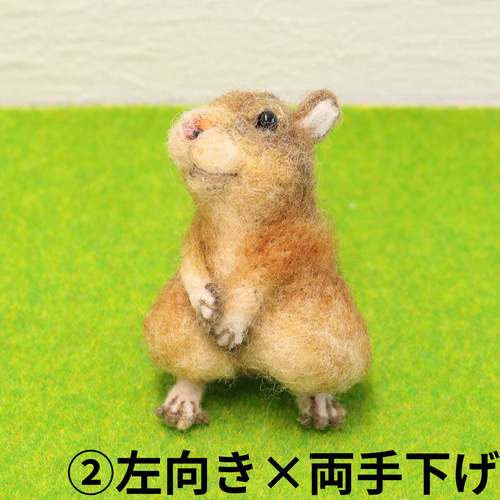 羊毛フェルト　テグー(サンド) デグーさん 羊毛フェルト Yuto 通販 9022771｜Creema(クリーマ)