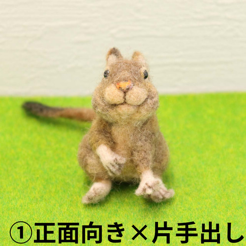 羊毛フェルト デグー 2種類 羊毛フェルト toiro 通販 16411277
