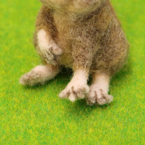 羊毛フェルト　テグー(サンド) 羊毛フェルト デグー 2種類 羊毛フェルト toiro 通販 16411277