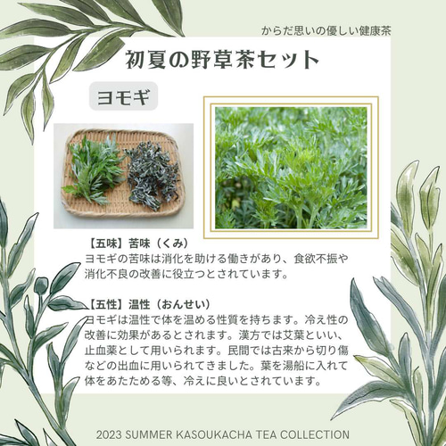 新入荷！2024年度乾燥よもぎ新芽 ・特選【艾葉・無農薬・国産・乾燥