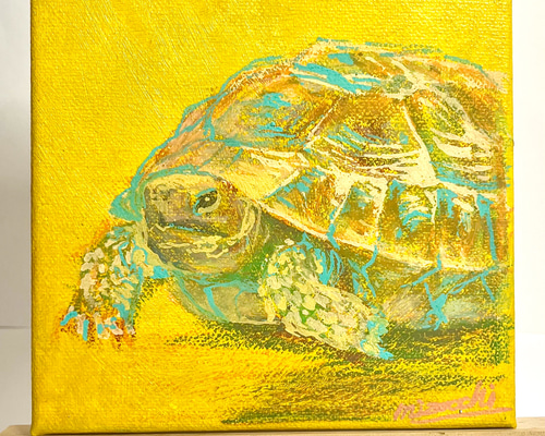 ロシアリクガメ　額付きミニ絵画　油彩 ロシアリクガメ 額付きミニ絵画 油彩