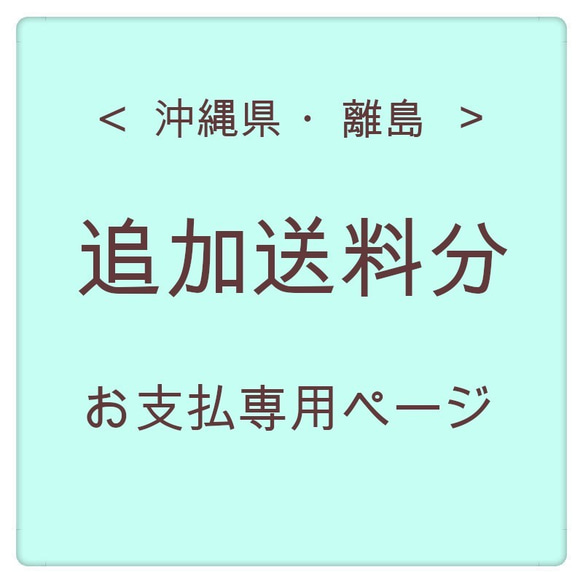 【新潟県佐渡市】追加送料分お支払専用ページ 1枚目の画像