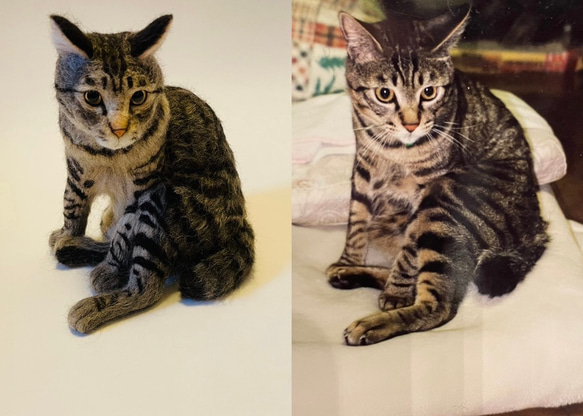 愛猫そっくりのぬいぐるみ／オーダーメイド15cm 羊毛フェルト 島