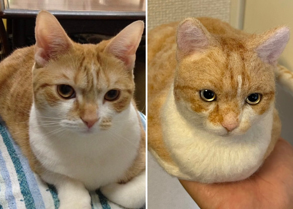 愛猫そっくりのぬいぐるみ／オーダーメイド２０cm 