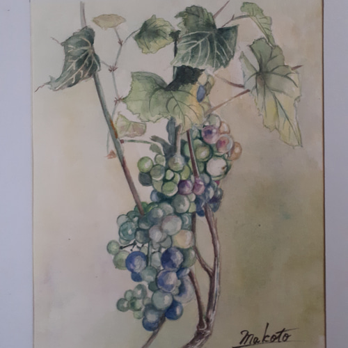 水彩画 美味しいブドウ 絵画 makochin 通販 16412989|Creema 水彩画 美味しいブドウ 絵画 makochin 通販 16412989|Creema