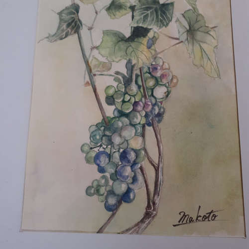 水彩画 美味しいブドウ 絵画 makochin 通販 16412989｜Creema