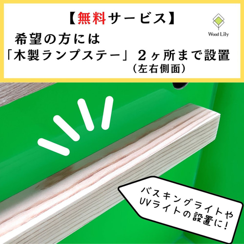 強固な爬虫類「塗装ケージ:けやき」90×45×45cm◇送料無料 強固な爬虫類「塗装ケージ:けやき」90×45×45cm◇送料無料