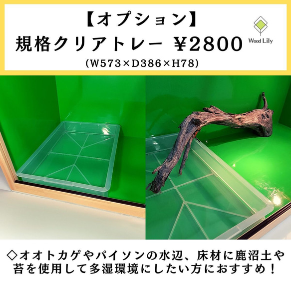 【Chucky様 専用ページ】爬虫類ケージ「塗装タイプ」120×45×45cm◇送料無料 15枚目の画像