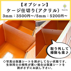 【Chucky様 専用ページ】爬虫類ケージ「塗装タイプ」120×45×45cm◇送料無料 13枚目の画像