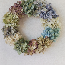 送料無料)ドライフラワークレッセントリース パンパスグラスと、 送料