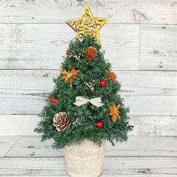 針葉樹・ユーカリ・月桂樹の動きある大きなクリスマスリース○ドライフラワーリース 針葉樹・ユーカリ・月桂樹の動きある大きなクリスマスリース○ドライ