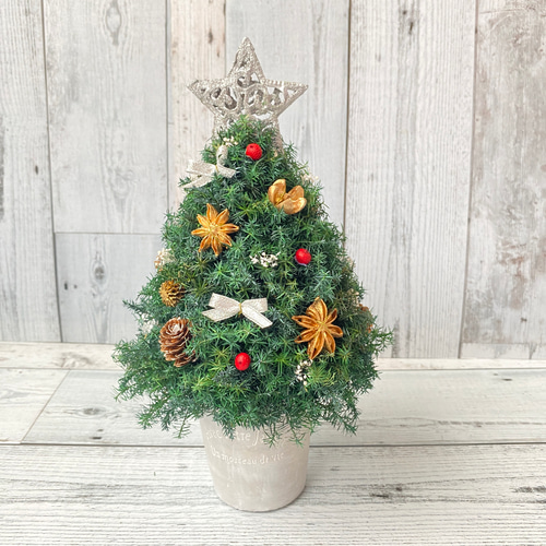 【正規品】パワーツリー 美品 卓上サイズ(銀の星) 森のクリスマスツリー 高さ約28cm プリザーブド