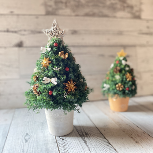 卓上サイズ(銀の星) 森のクリスマスツリー 高さ約28cm プリザーブド