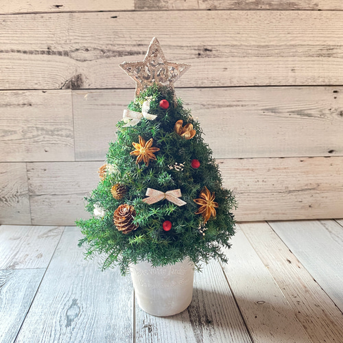 卓上サイズ(銀の星) 森のクリスマスツリー 高さ約28cm プリザーブド