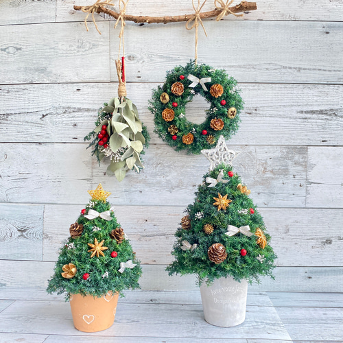 卓上サイズ(銀の星) 森のクリスマスツリー 高さ約28cm プリザーブド