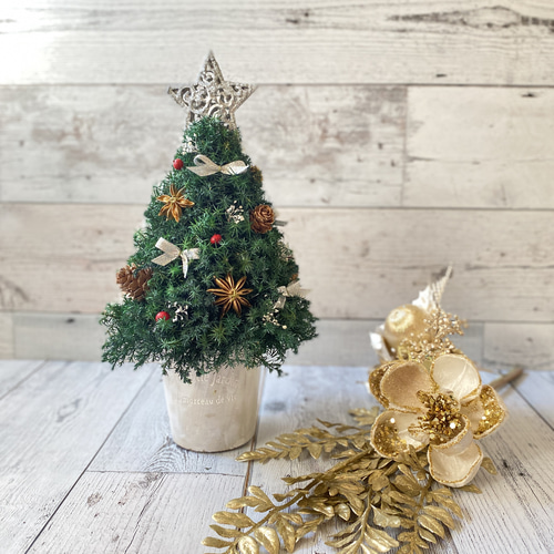 卓上サイズ(銀の星) 森のクリスマスツリー 高さ約28cm プリザーブド