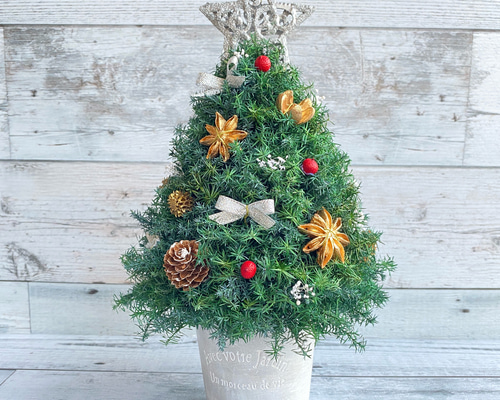 卓上サイズ(銀の星) 森のクリスマスツリー 高さ約28cm プリザーブド