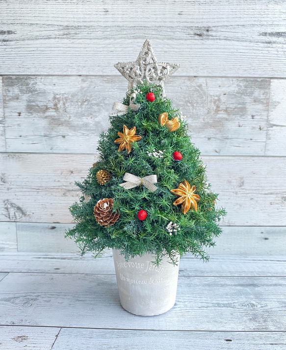 小さなクリスマスツリー緑*プリザーブドフラワー*真鍮*ドライフラワー フルーツ豊富】日本製 プリザーブドフラワー ドライフラワー LED