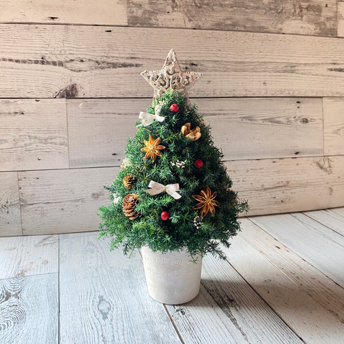 卓上サイズ(銀の星) 森のクリスマスツリー 高さ約28cm プリザーブド