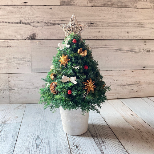 卓上サイズ(銀の星) 森のクリスマスツリー 高さ約28cm プリザーブド