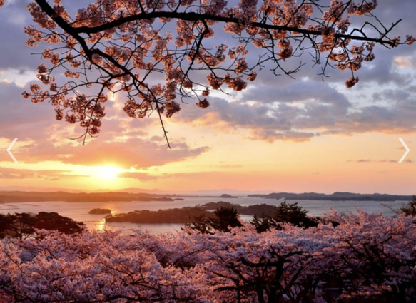 フラワーボール、ボールブーケ(松島の夕日) 6枚目の画像