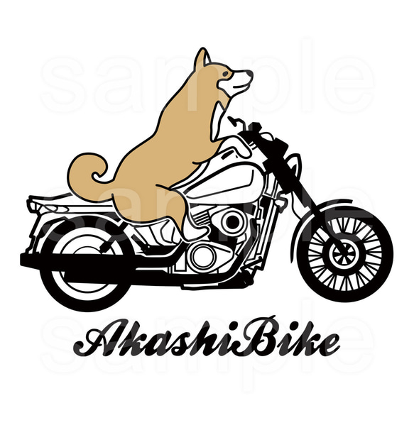 柴犬バイクTシャツ「AkashiBike」 2枚目の画像