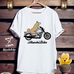 柴犬バイクTシャツ「AkashiBike」 1枚目の画像