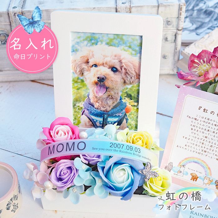 虹の橋フォトフレーム ソープフラワー ペット お供え お供え花 仏花 虹の橋 レインボー メモリアルグッズ 供養 花