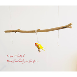 流木インテリア  シンプルな天然流木の小鳥の止まり木 吊り下げタイプ インコ 鳥 ブランコ 自然木 No.18 4枚目の画像