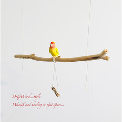 流木インテリア  シンプルな天然流木の小鳥の止まり木 吊り下げタイプ インコ 鳥 ブランコ 自然木 No.18 1枚目の画像