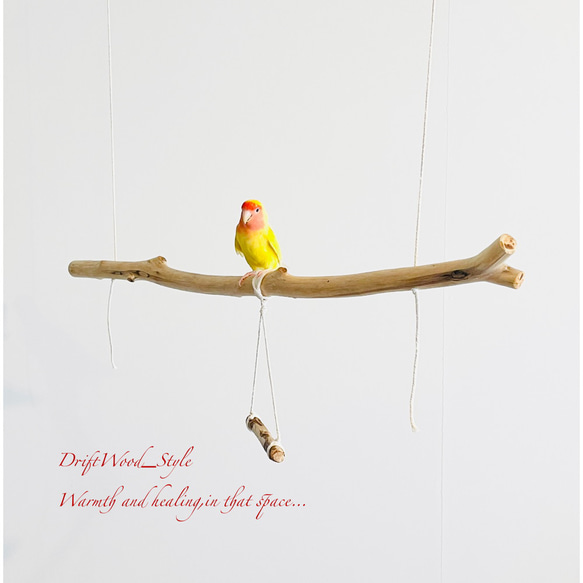 流木インテリア  シンプルな天然流木の小鳥の止まり木 吊り下げタイプ インコ 鳥 ブランコ 自然木 No.18 1枚目の画像