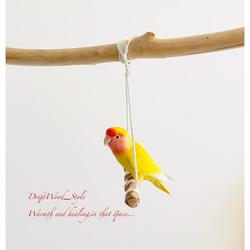 流木インテリア  シンプルな天然流木の小鳥の止まり木 吊り下げタイプ インコ 鳥 ブランコ 自然木 No.18 7枚目の画像