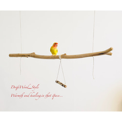 流木インテリア  シンプルな天然流木の小鳥の止まり木 吊り下げタイプ インコ 鳥 ブランコ 自然木 No.18 3枚目の画像