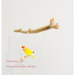 流木インテリア  シンプルな天然流木の小鳥の止まり木 吊り下げタイプ インコ 鳥 ブランコ 自然木 No.18 5枚目の画像