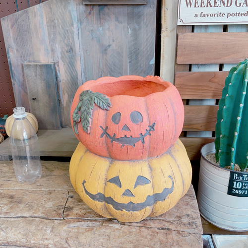 ラスト！大きめハロウィン陶器鉢！寄せ植えにもぴったり♪ハロウィン